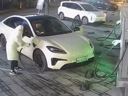 Vlasnici električnih automobila