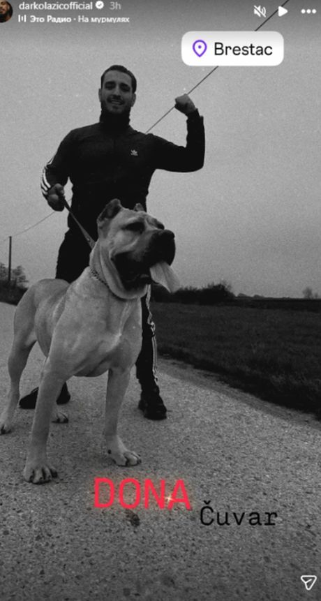 Darko Lazić sa psom