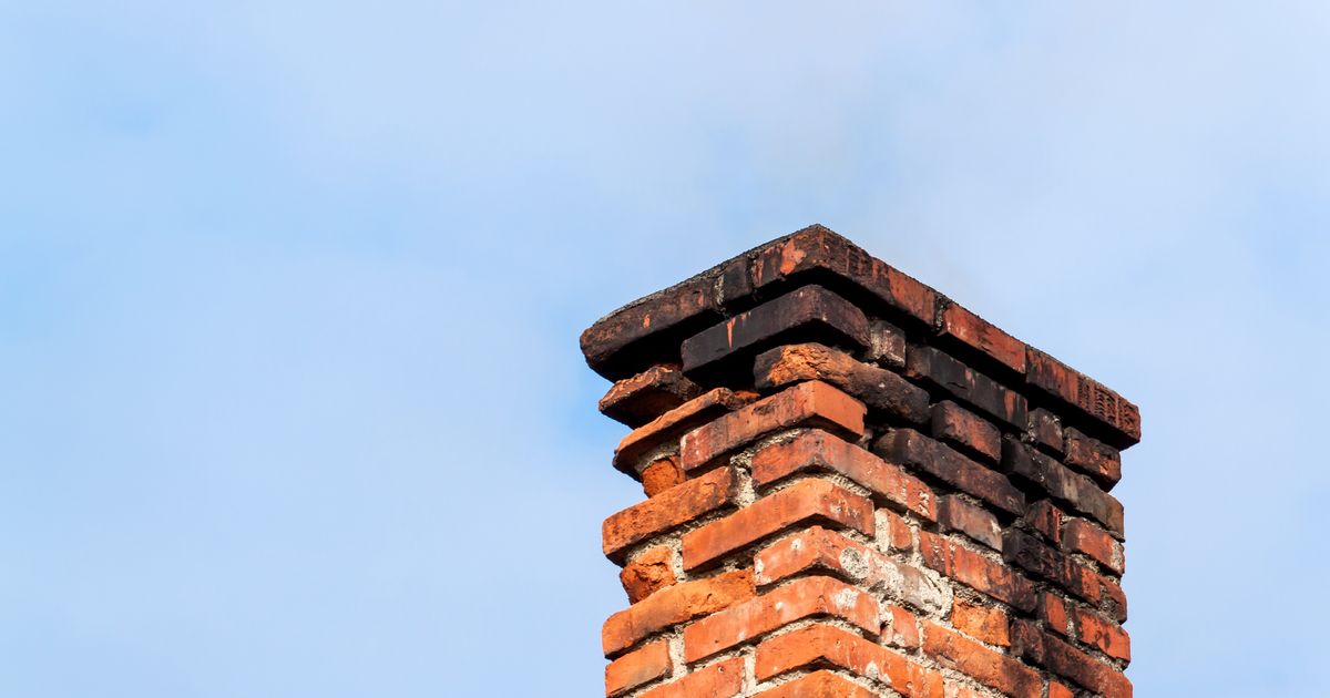 Bračni par mislio da im se rakun zaglavio u odžaku, a onda je nastao opšti haos! 