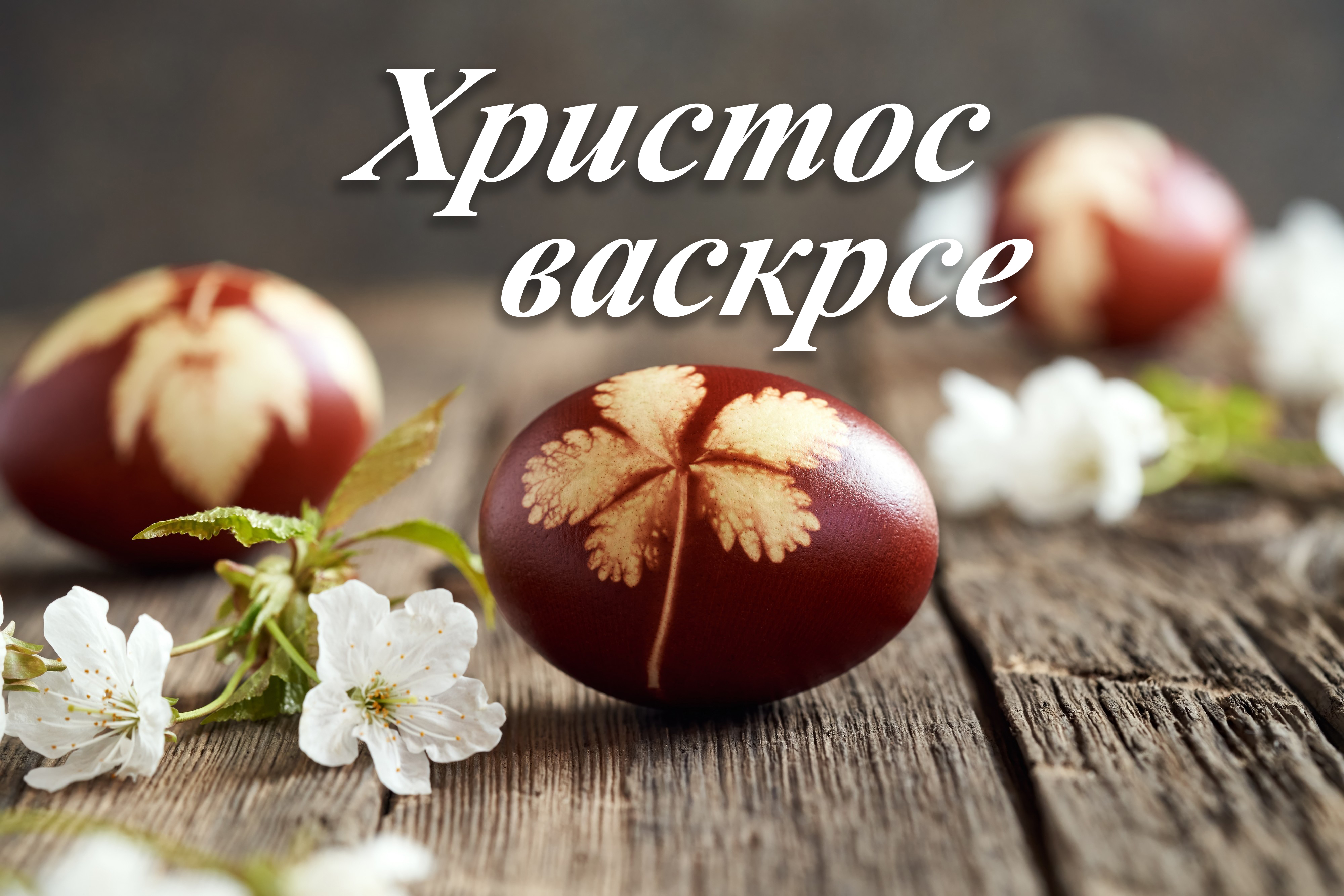 Hristos vaskrese, vaistinu Vaskrese! "Telegraf" vam želi srećan Uskrs, da ga proslavite u miru sa najmilijma