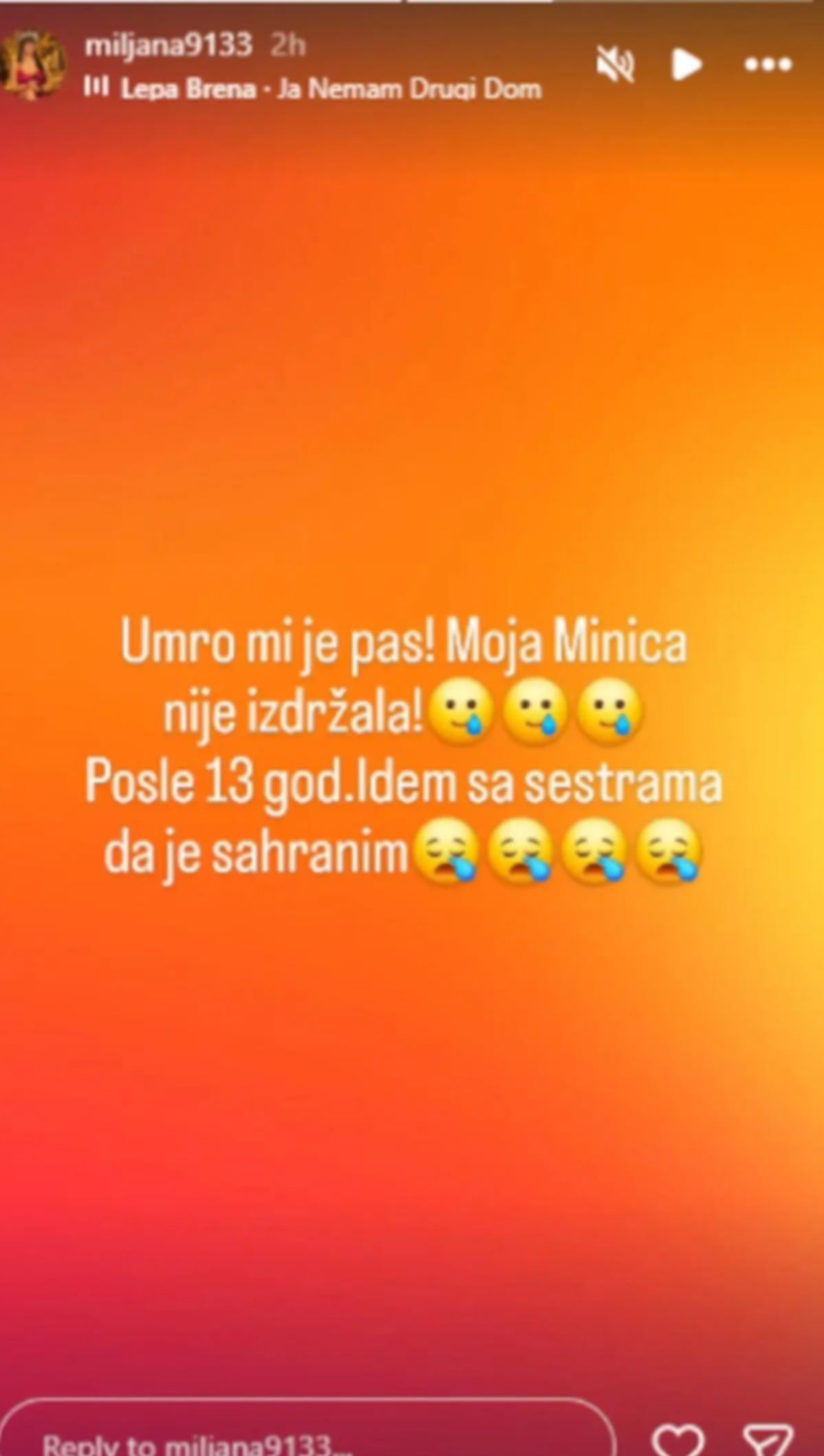 "Idem da je sahranim..." Miljana Kulić podelila tužne vesti: Na Vaskrs slomljena zbog gubitka ljubimca