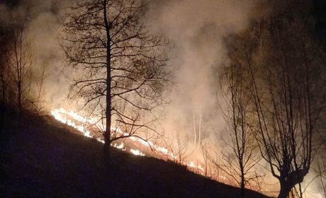 Požar, Bijelo Polje