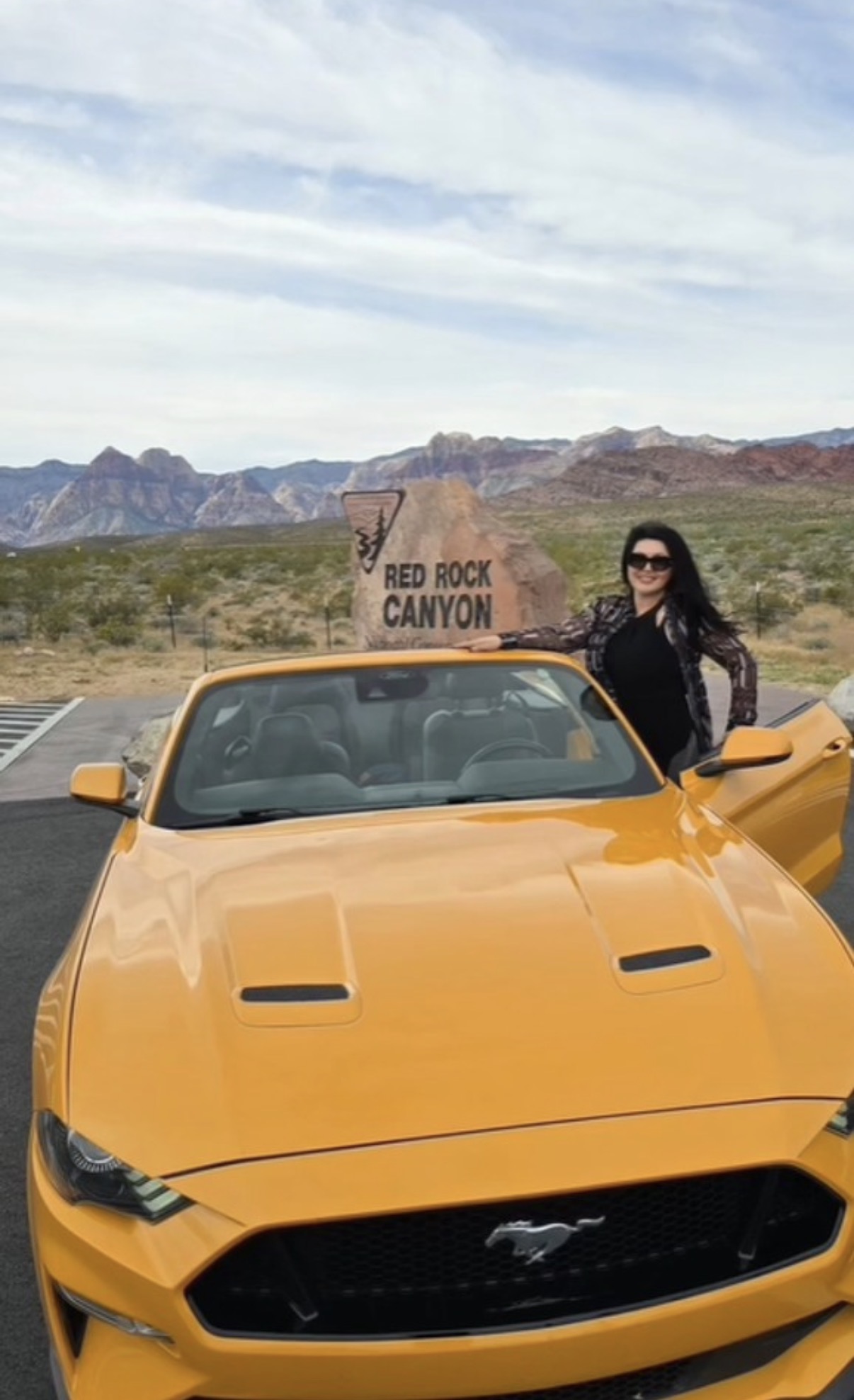 Dragana Mirković “gazila” ulicama u Americi u papreno skupom kabrioletu, cena prava sitnica: Ovako je uživala