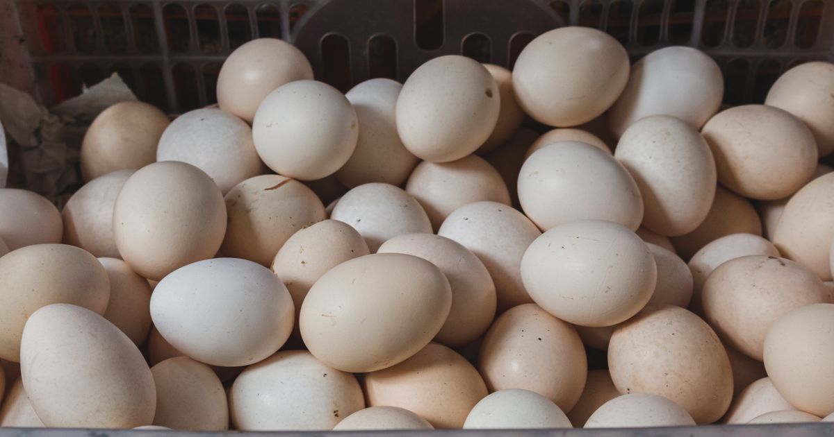 10 najboljih zamena za jaja u veganskoj ishrani: Ove namirnice već imate u kuhinji, a kolači uspevaju savršeno
