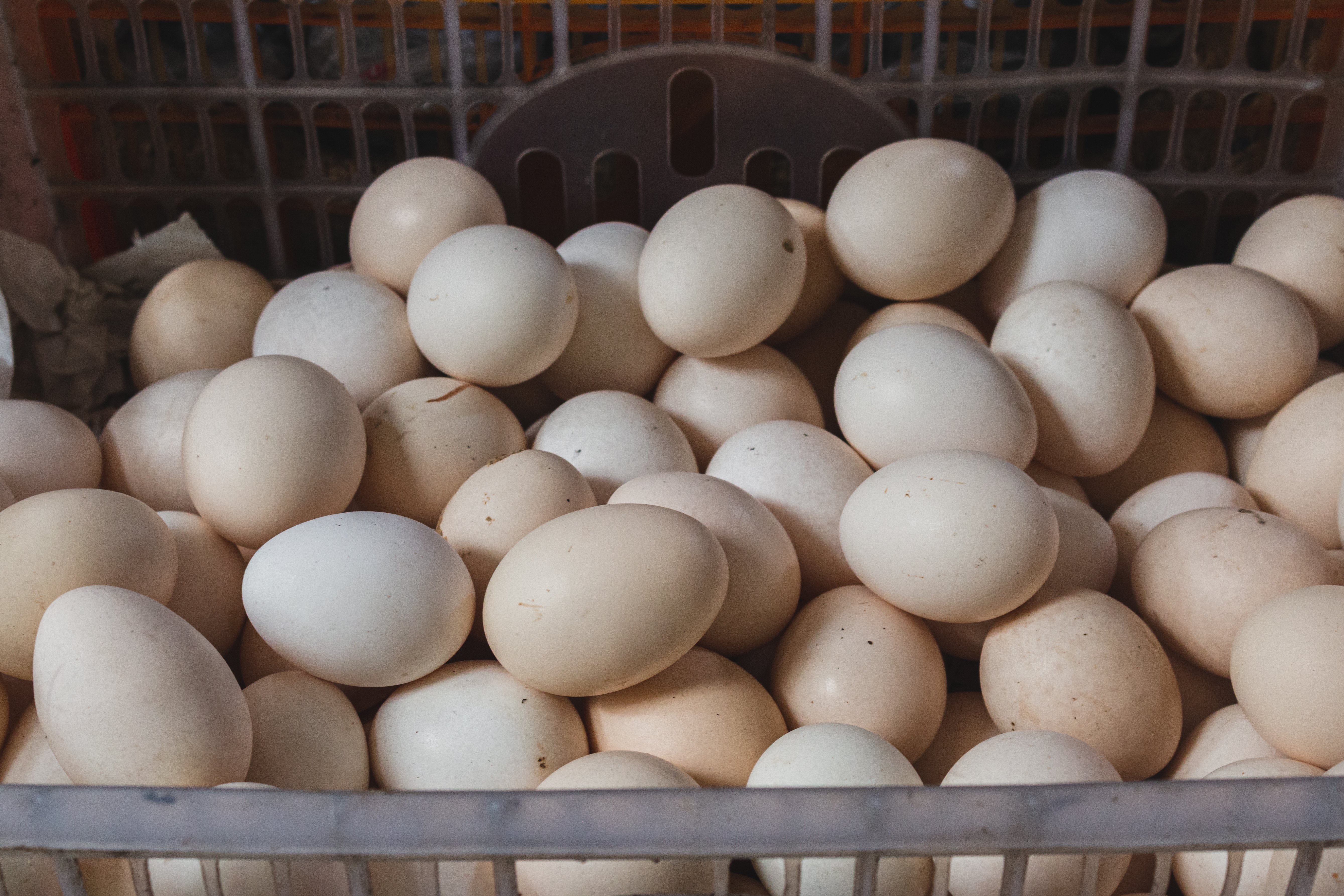10 najboljih zamena za jaja u veganskoj ishrani: Ove namirnice već imate u kuhinji, a kolači uspevaju savršeno