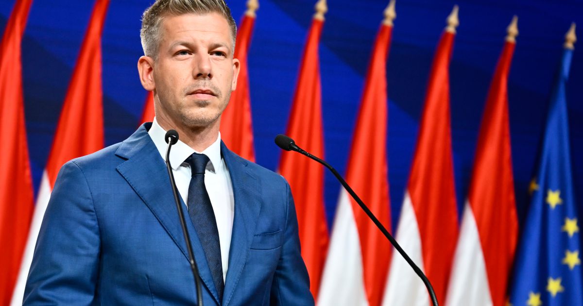 Peter Mađar otkrio kako su njegovi sinovi reagovali na to da će biti premijer: Pomenuo i bivšu ženu