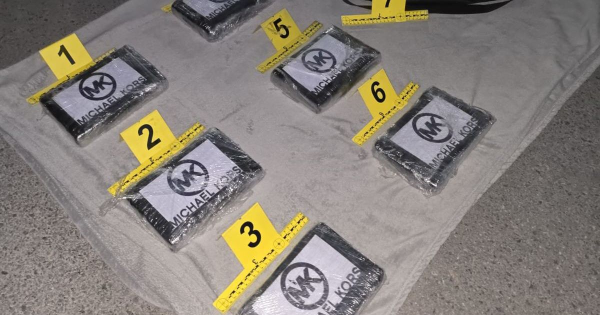 TEMERINAC (40) PAO SA 6 KG KOKAINA! Policija mu blokirala put, droga bila u torbi!