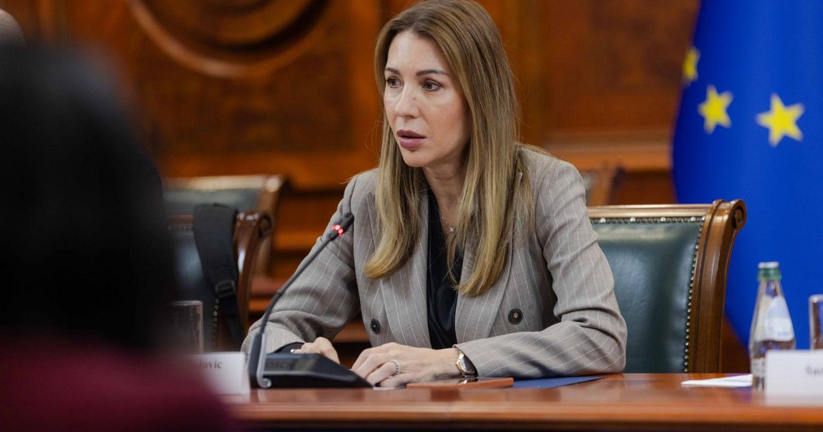 Đedović Handanović sa EU: Sigurnost snabdevanja i novi energetski proјekti u fokusu