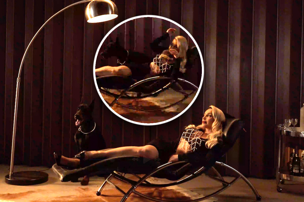 Pas skočio na Maju Berović, ekipa odmah zaustavila snimanje! Haos na setu, pogledajte njenu reakciju