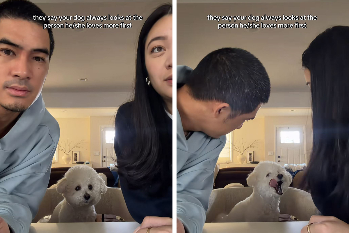 Par iz Nju Džersija saznao ko je od njih dvoje omiljena osoba njihovog psa: Video pregledan 6,1 milion puta