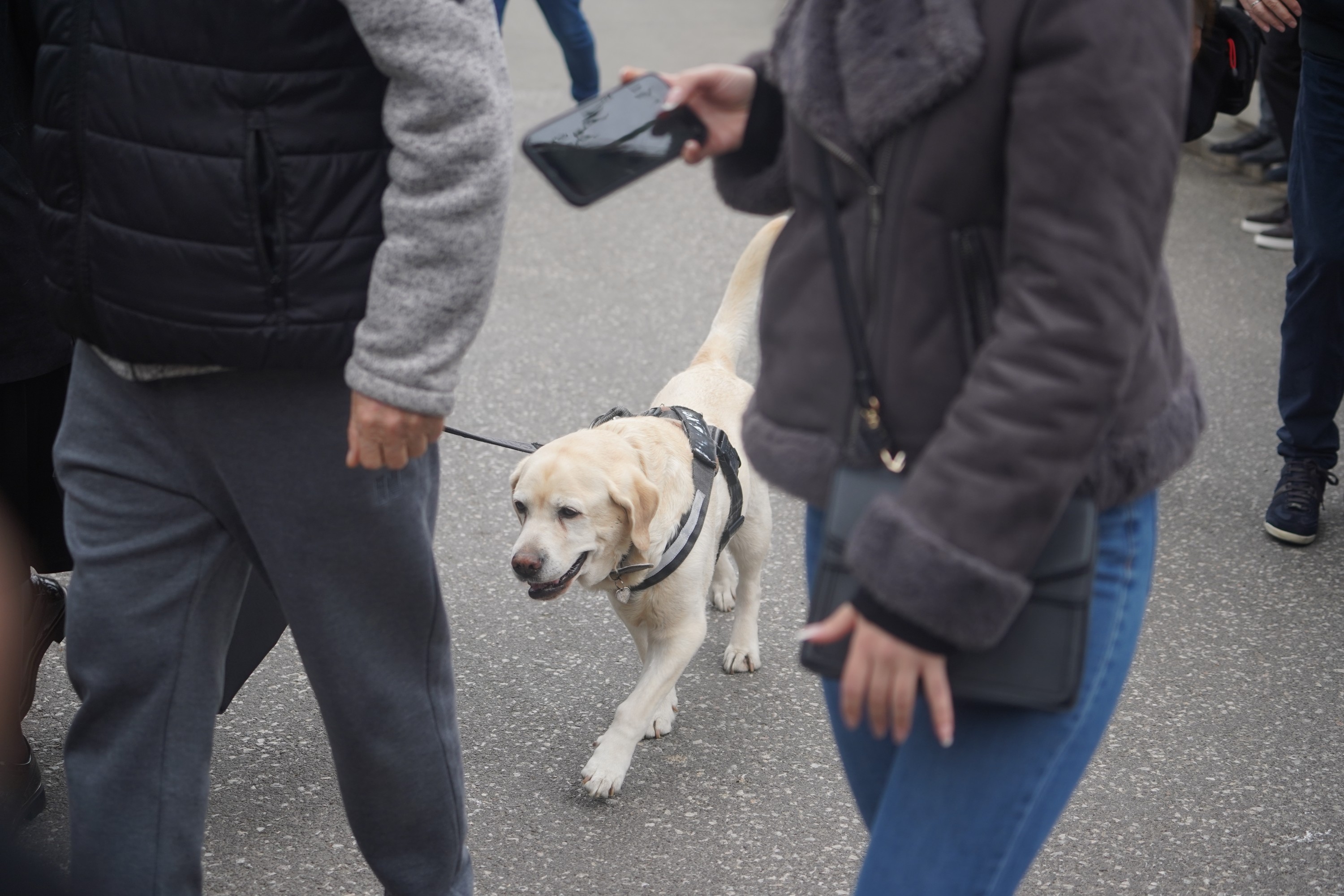 Najverniji prijatelj Duška Vujoševića došao na sahranu, emotivna scena i dolazak Žute na poslednji oproštaj