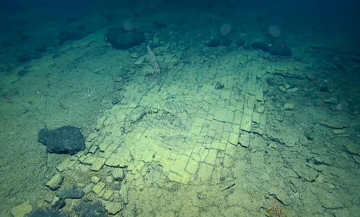 REŠENA MISTERIJA NA DNU OKEANA Savršeno popločan "put od žute cigle" šokirao naučnike, a onda su shvatili...