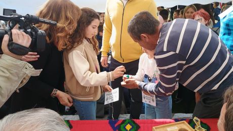 Tucijada, Oglađenovac