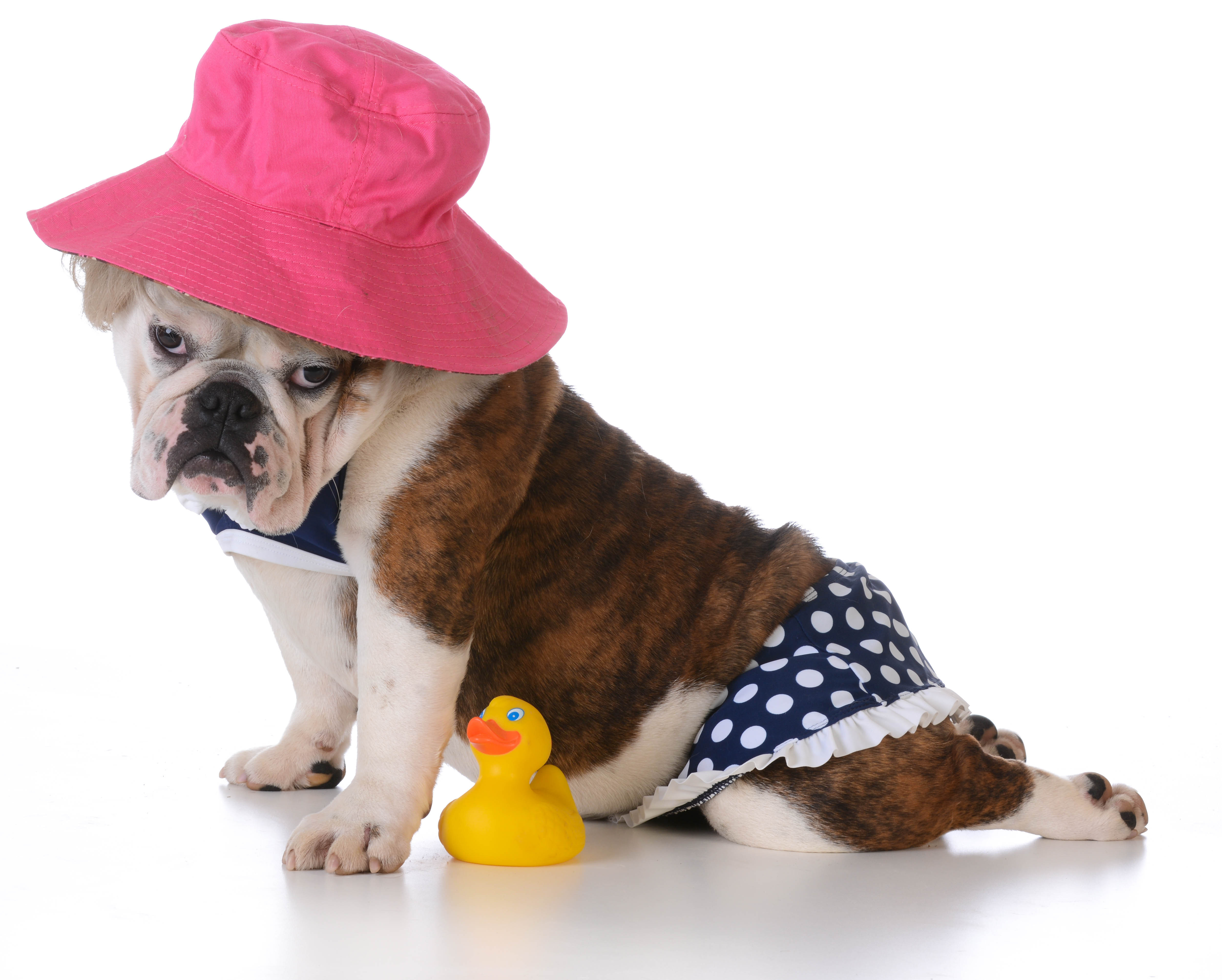 Skandalozna reklama za bikini prenerazila korisnicu Fejsbuka: Umesto bruke stiglo objašnjenje veka!