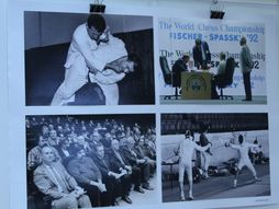 SPENS obeležio 45 godina postojanja izložbom fotografija