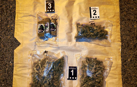 droga, marihuana, hašiš