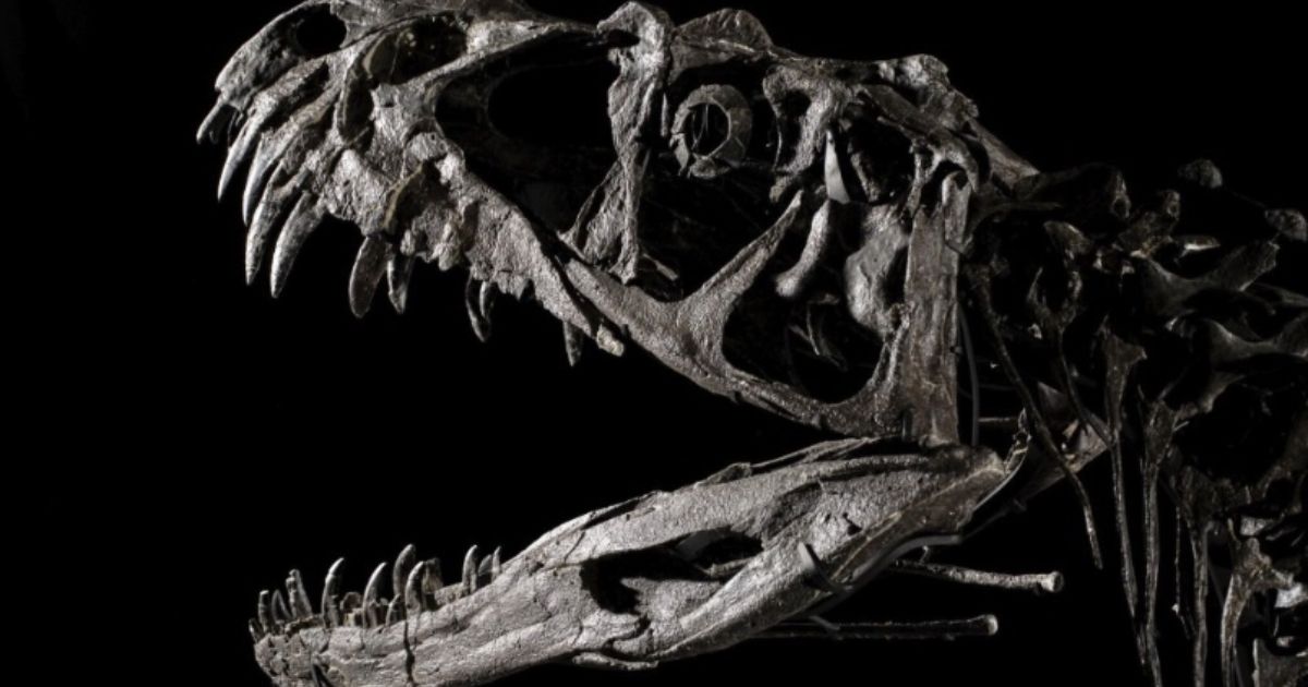 Prvi put prikazano kako je izgledao krokodil 