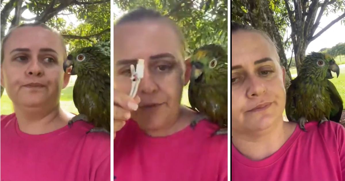 PLAKANJE OD SMEHA! Žena se žestoko posvađala s papagajem, a razlog će vas raspametiti