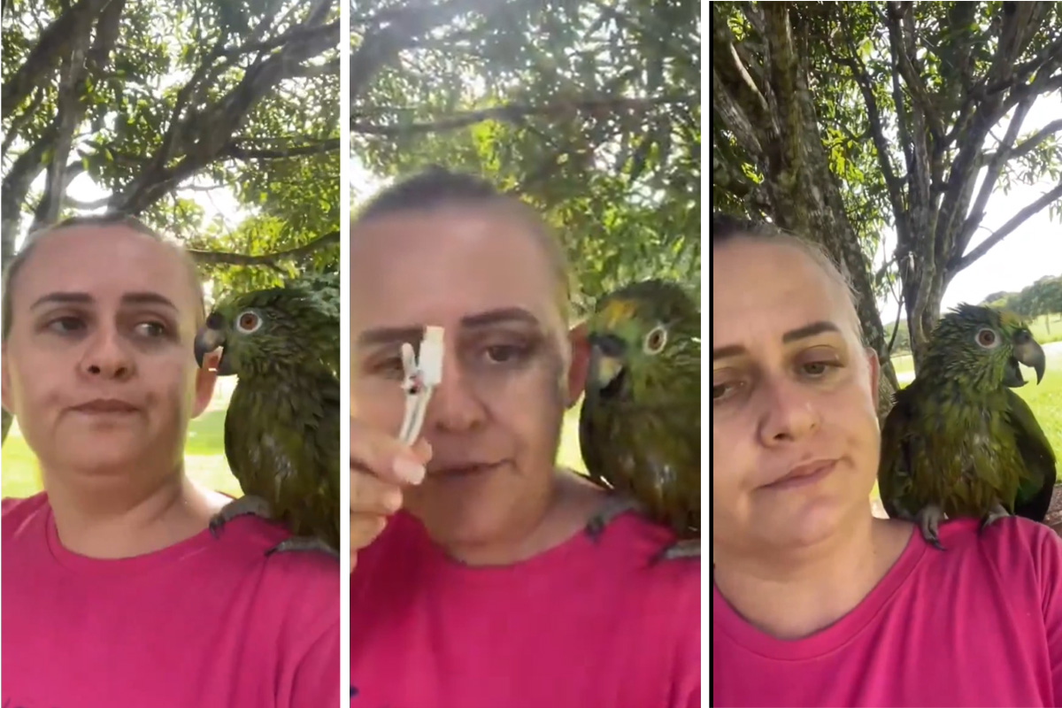 PLAKANJE OD SMEHA! Žena se žestoko posvađala s papagajem, a razlog će vas raspametiti