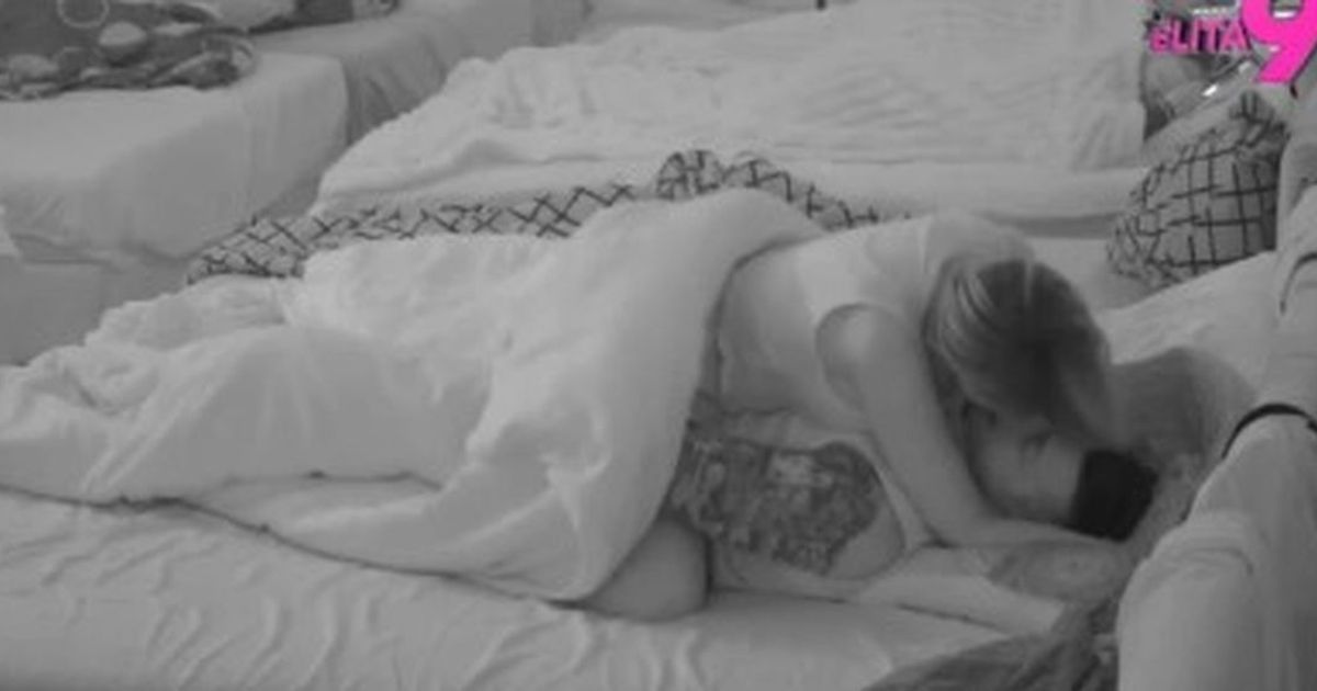 Akcija usred bela dana u Eliti: Sofija zajahala Terzu pred svima, cimeri ostali zaprepašćeni