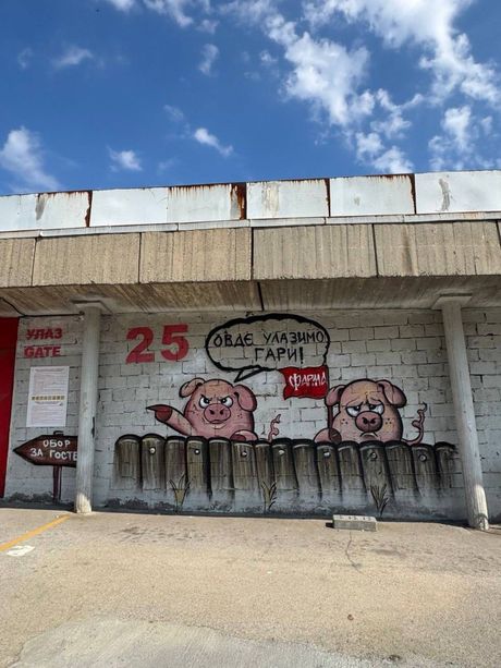 Delije, Firma, grafit