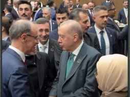 Đuro Macut, Erdogan