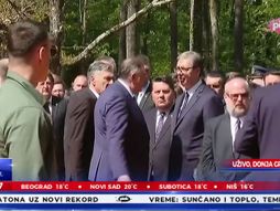 vučić donja gradina