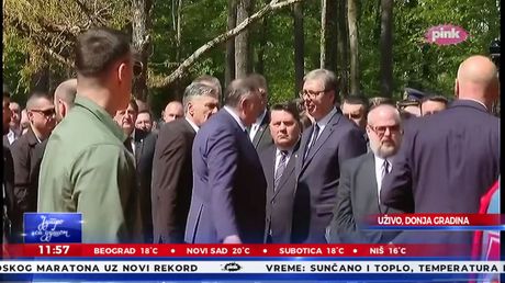 vučić donja gradina