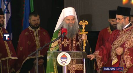 vučić donja gradina