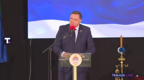 vučić donja gradina