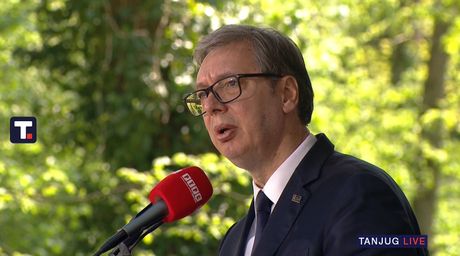 vučić donja gradina