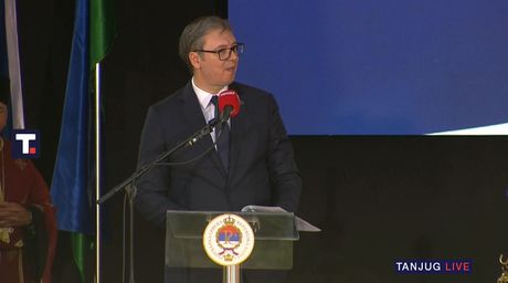 vučić donja gradina