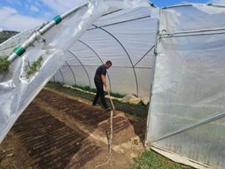 Ljubisav Gojaković, Priboj, poljoprivreda