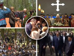 vučić donja gradina