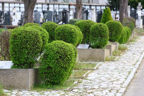 Aleja žrtava savezničkog bombardovanja