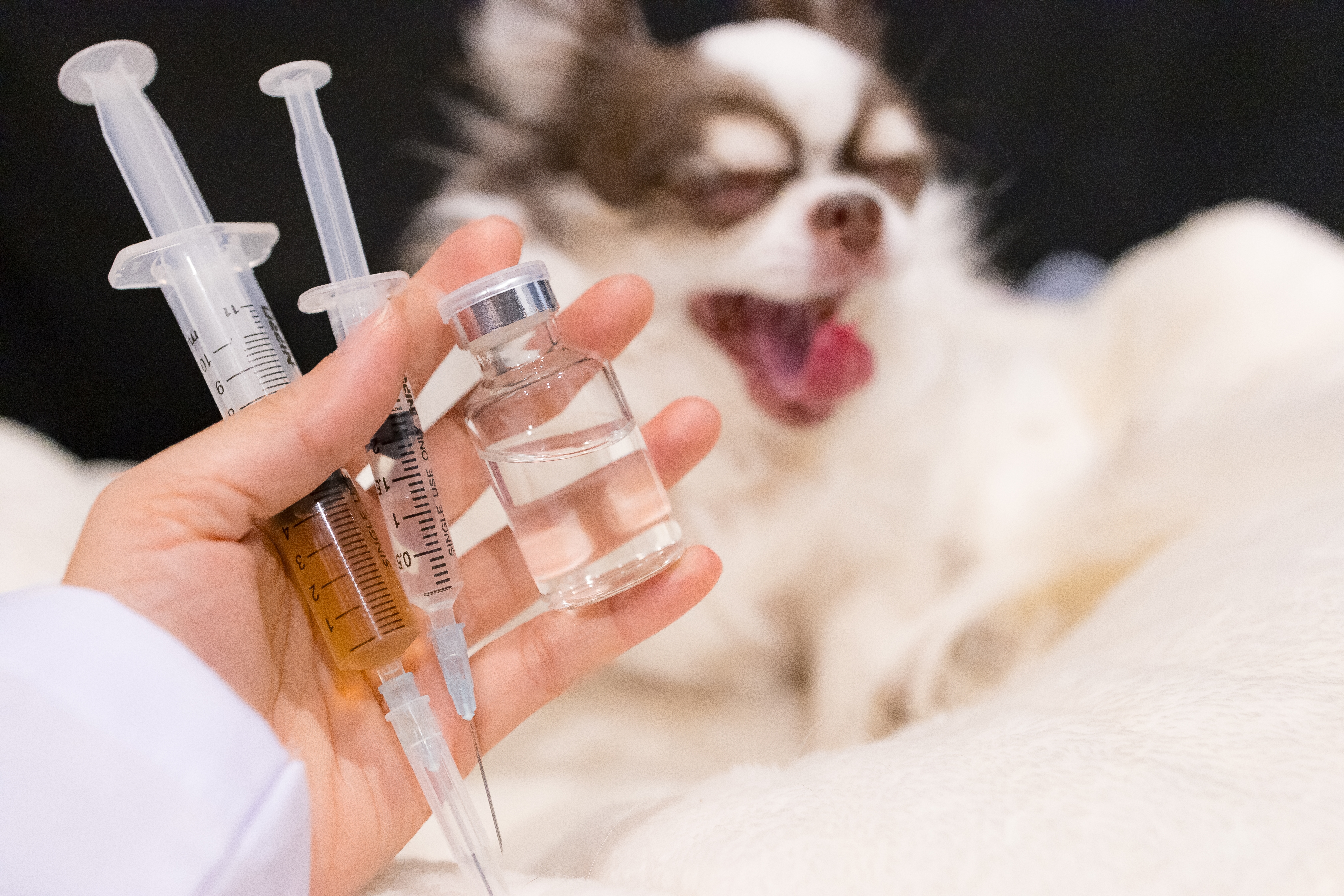 Snimak koji i najjači ne žele da gledaju: Gas, strah, patnja i bol, a ko sve preživi, pa... živeo je dovoljno