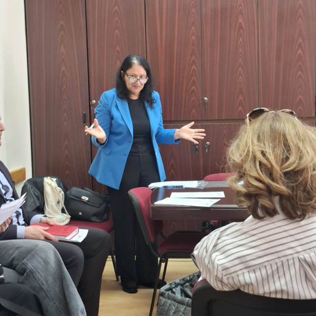 dečji brakovi, Romska mreža Srbije,