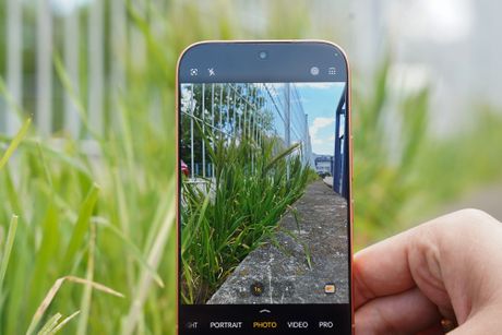 Honor 600