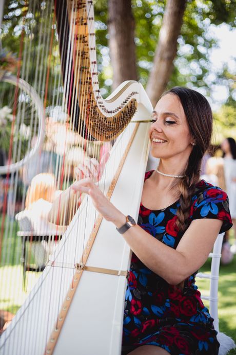 harfistkinja Željka Milošević