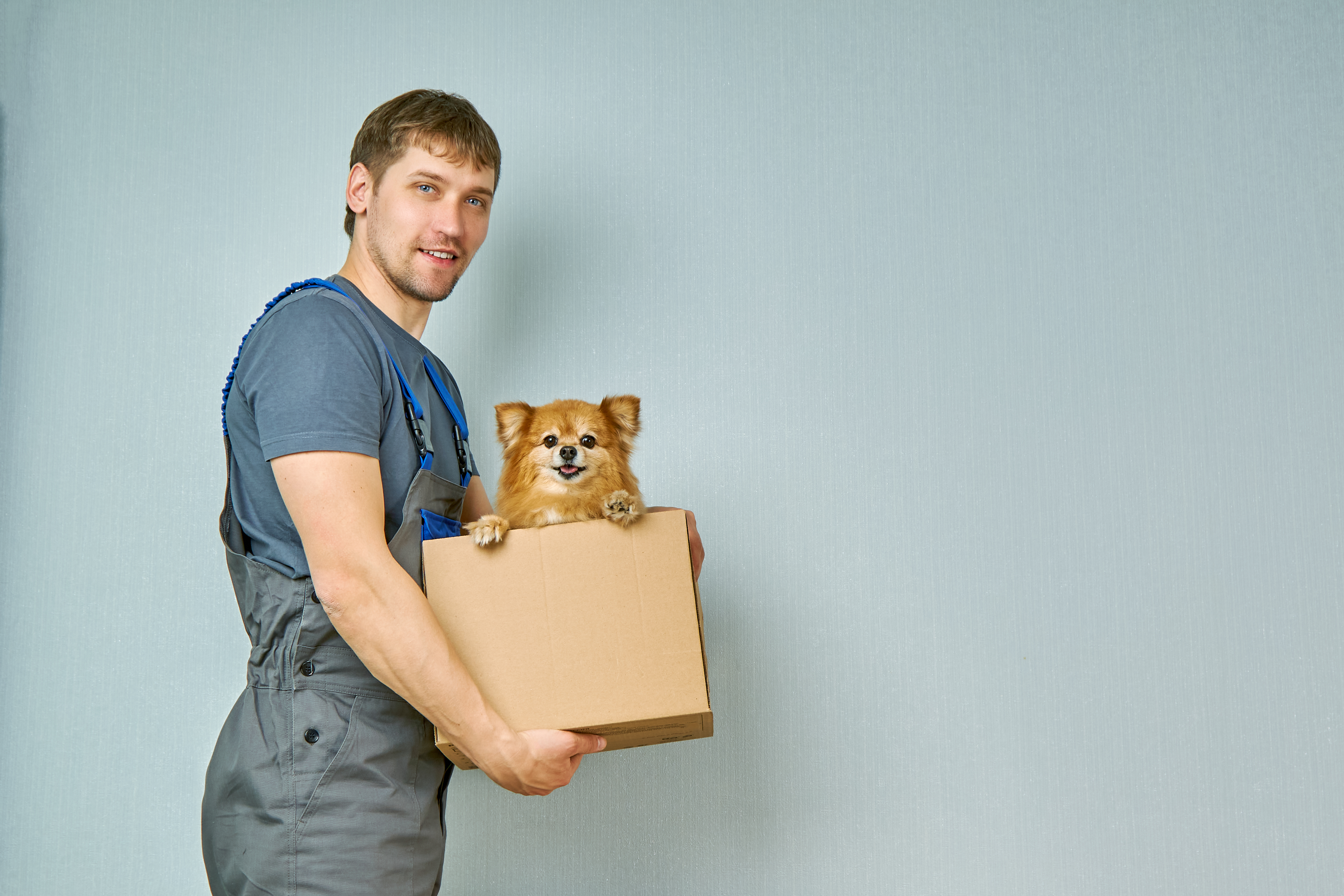 Dostavljač panično preskočio ogradu zbog labradora: Snimak sa kućne kamere nasmejao milione ljudi