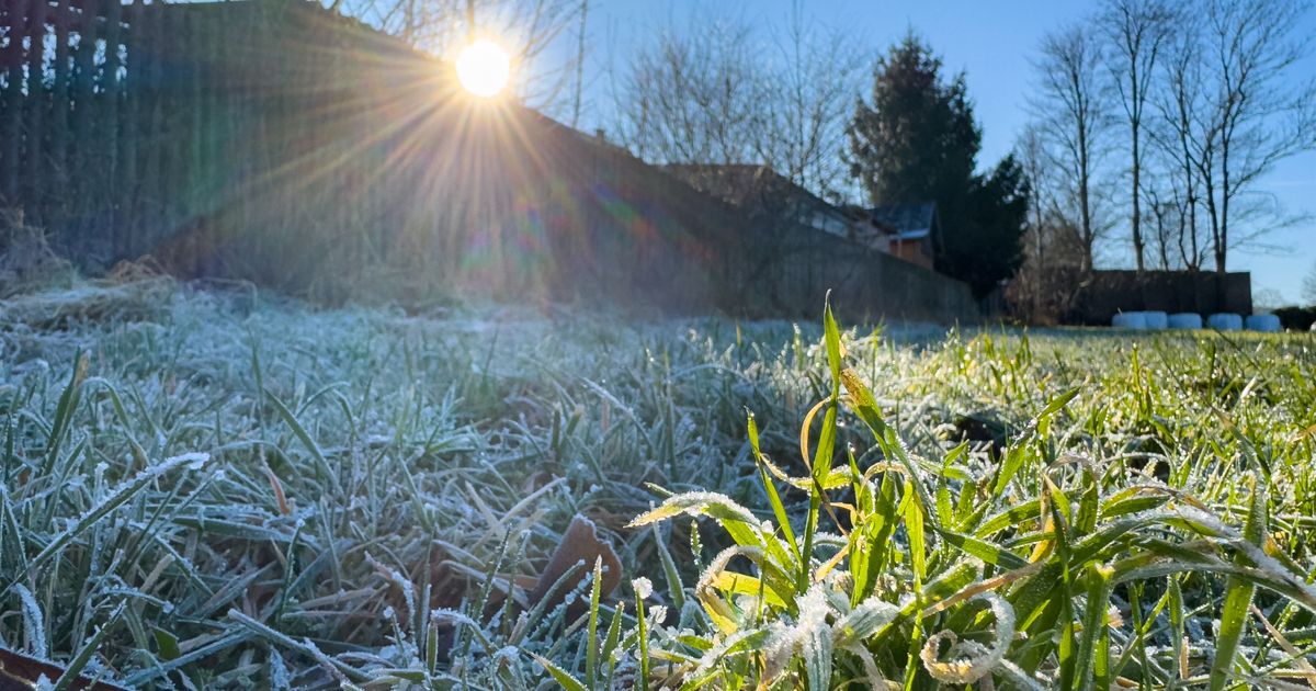 Ujutru mraz, tokom dana toplije: Najviša dnevna do 20 °C