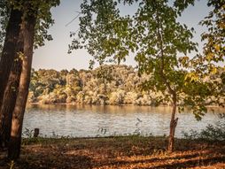 Sava, reka, reka Sava, Obrenovac, priroda