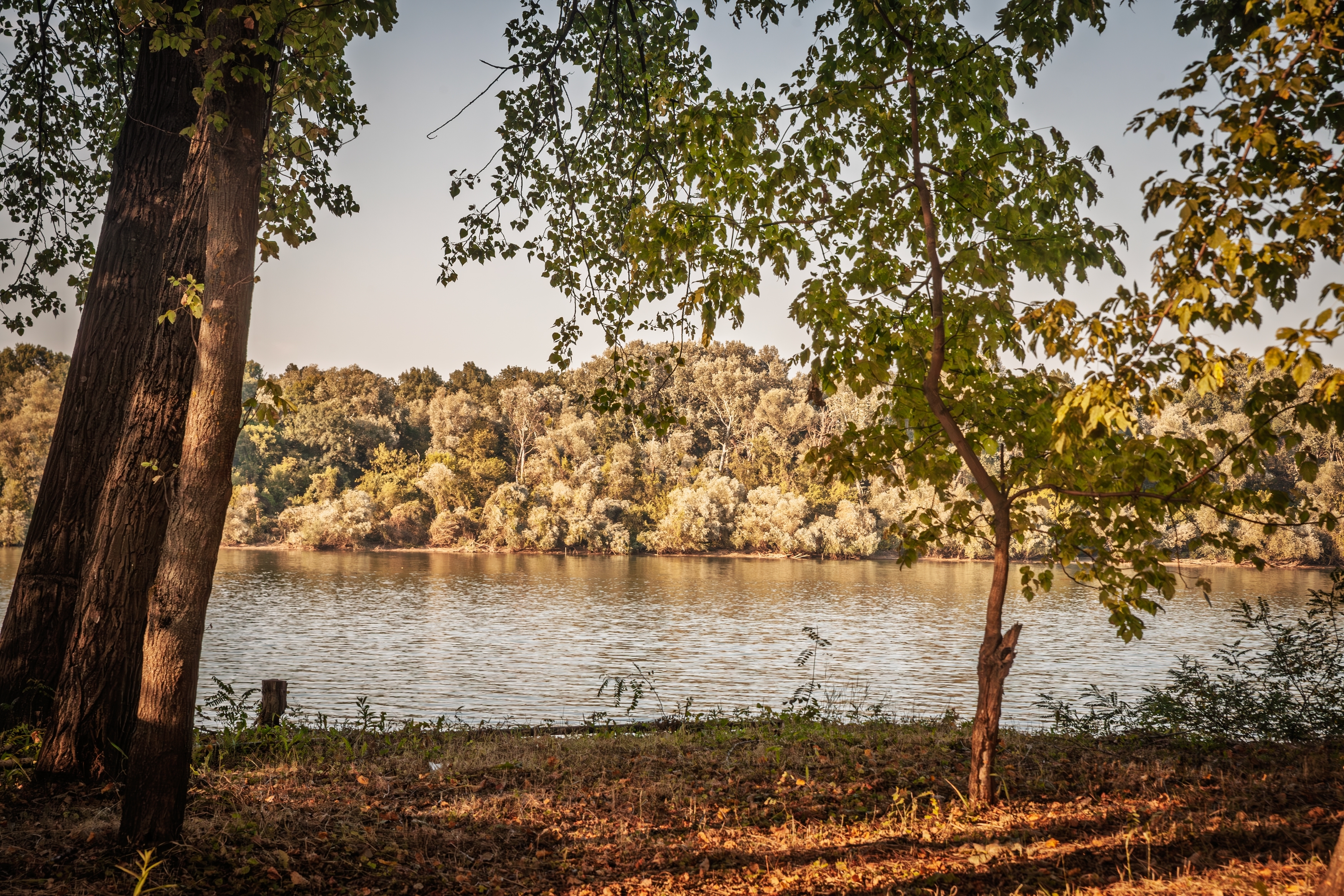 Gde za Prvi maj? 3 mesta nadomak Beograda, savršen beg za koji vam ne treba hotel, a ni mnogo para
