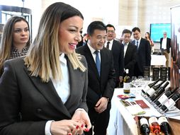 MESAROVIĆ SPORAZUM SHANDONGHISPEED