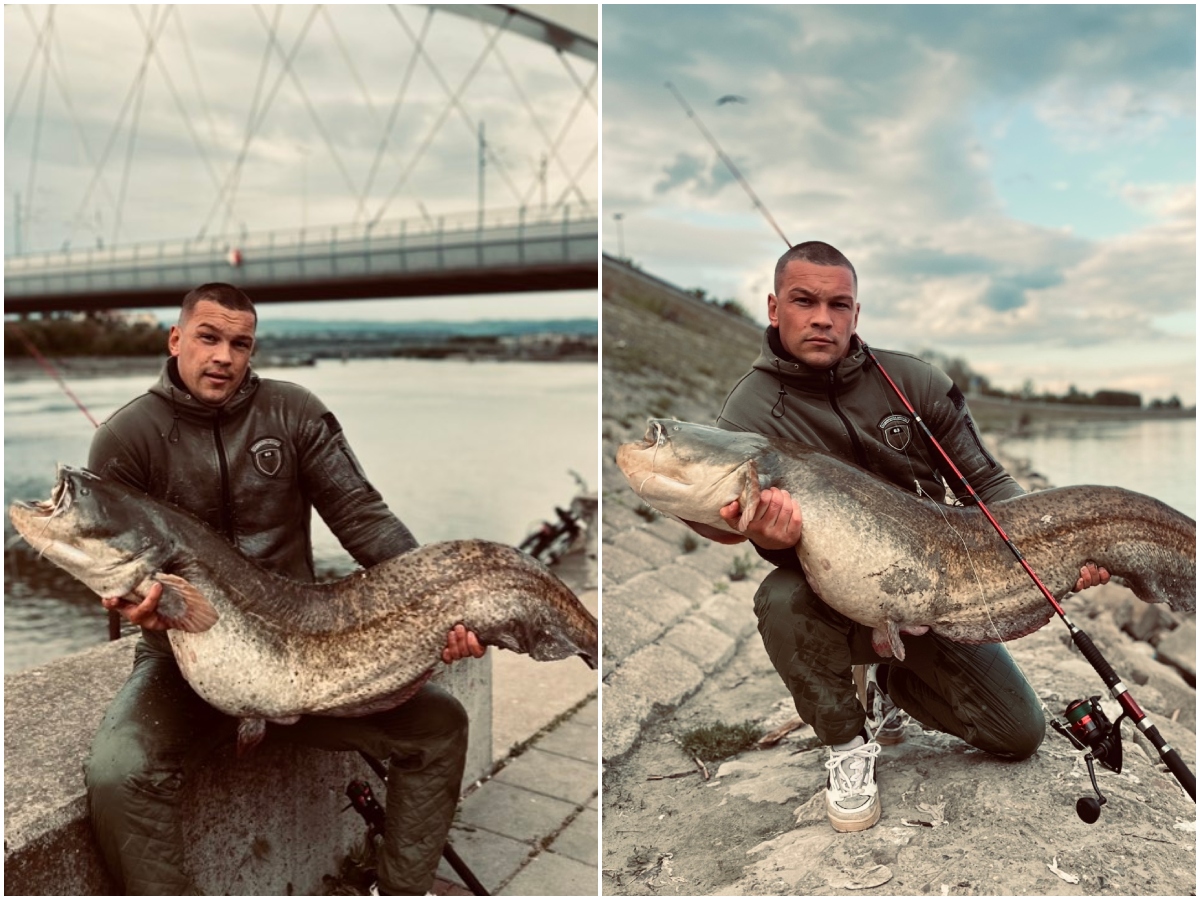 Zver ga ozbiljno provozala, čekao ga je 25 godina: Aleksandar preživeo scenu iz filma i ulovio DUNAVSKU NEMAN