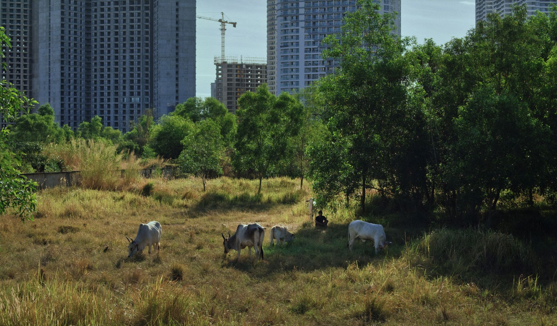 Još jedan srpski film na Kanskom festivalu