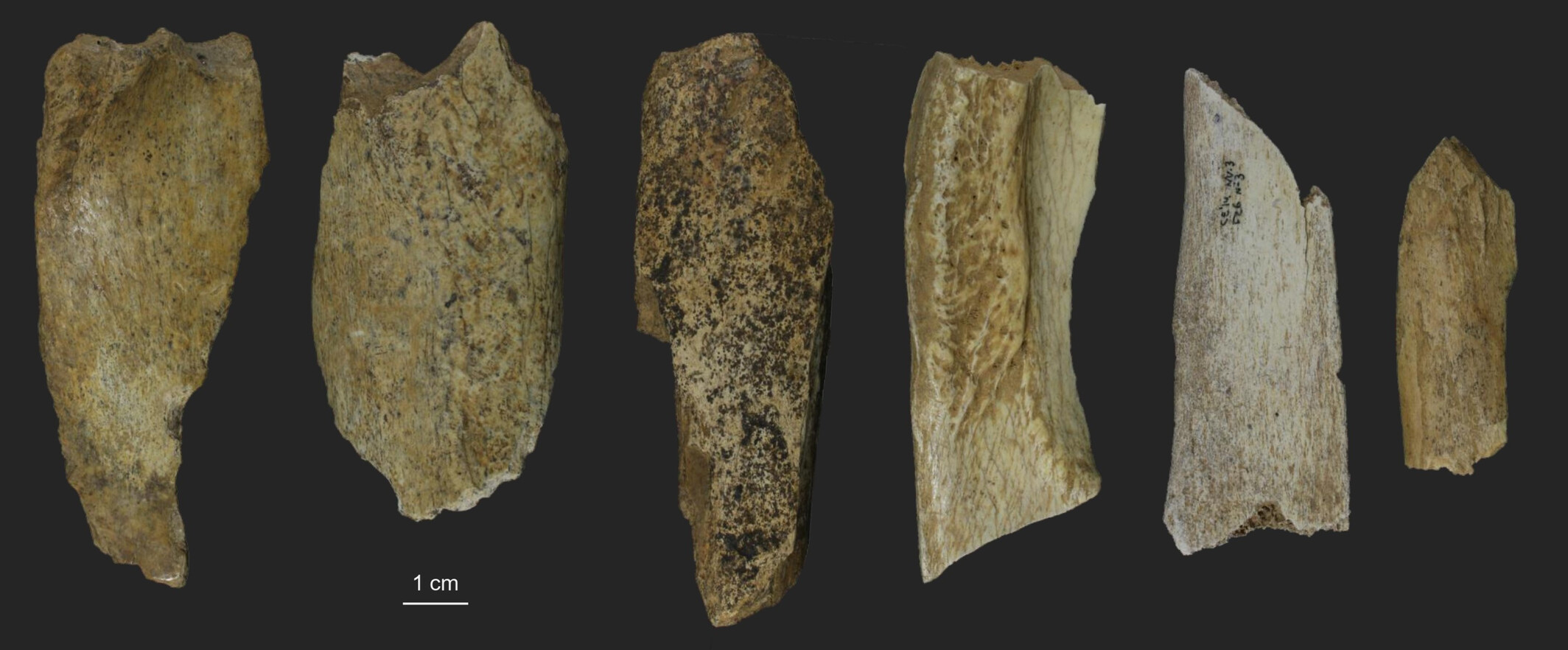 Nova metoda otkrila nepoznate strategije preživljavanja iz doba paleolita
