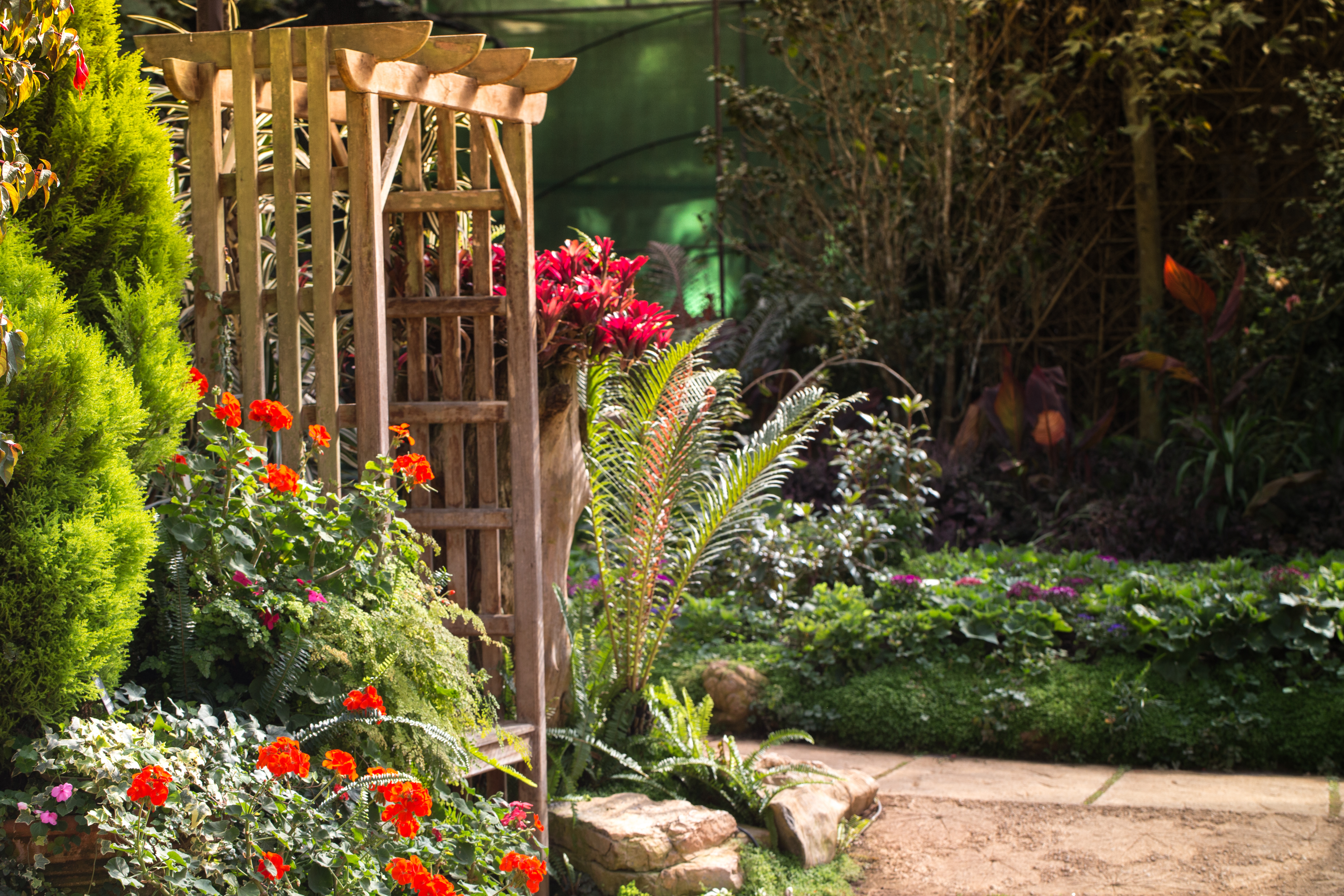 Nemate osunčanu baštu? Ovo cveće uspeva u hladu i cveta bez prestanka