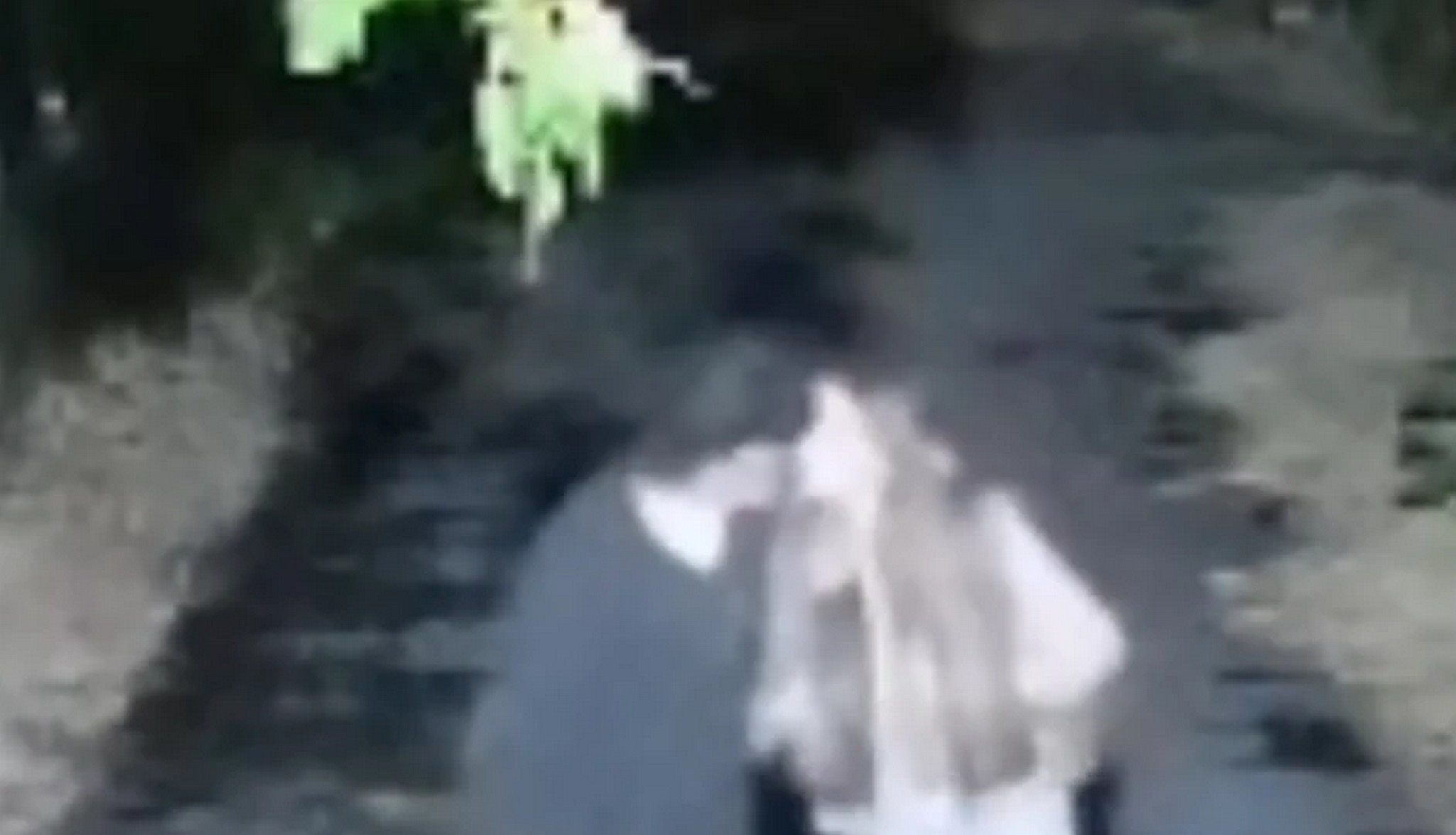 "Biće haos" Oglasio se Dane (70) i izneo šok detalje o Sofiji Janićijević: "Sa njenom majkom sam se dogovarao"