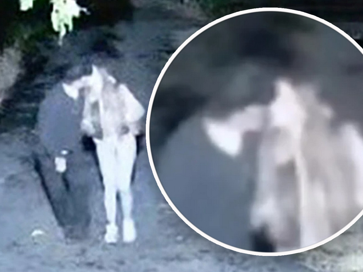 "Postoje njihovi intimni snimci" Novi šok detalji odnosa Sofije i Daneta (70), on pregovara da uđe u Elitu?!